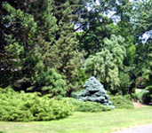 Skylands: New Jersey State Botanical Garden