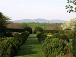 Historic Garden Week in Virginia