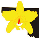 Oklahoma Orchid Society Show