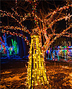 Holiday Light Show at Rotary Gardens in Janesville
