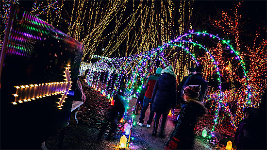 Holiday Light Show, Rotary Garden, Janesville, Wisconsin
